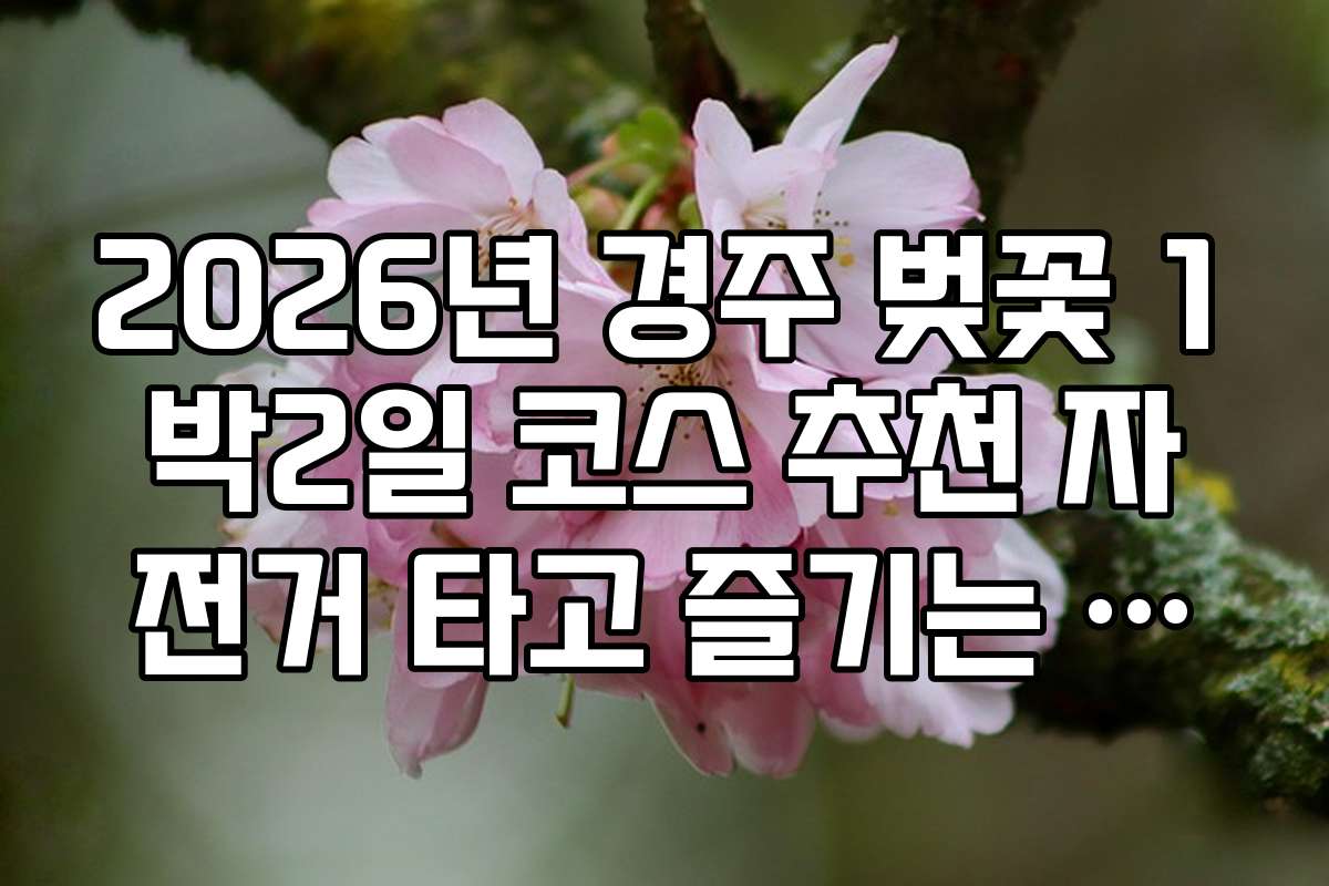 2026년 경주 벚꽃 1박2일 코스 추천 자전거 타고 즐기는 벚꽃길