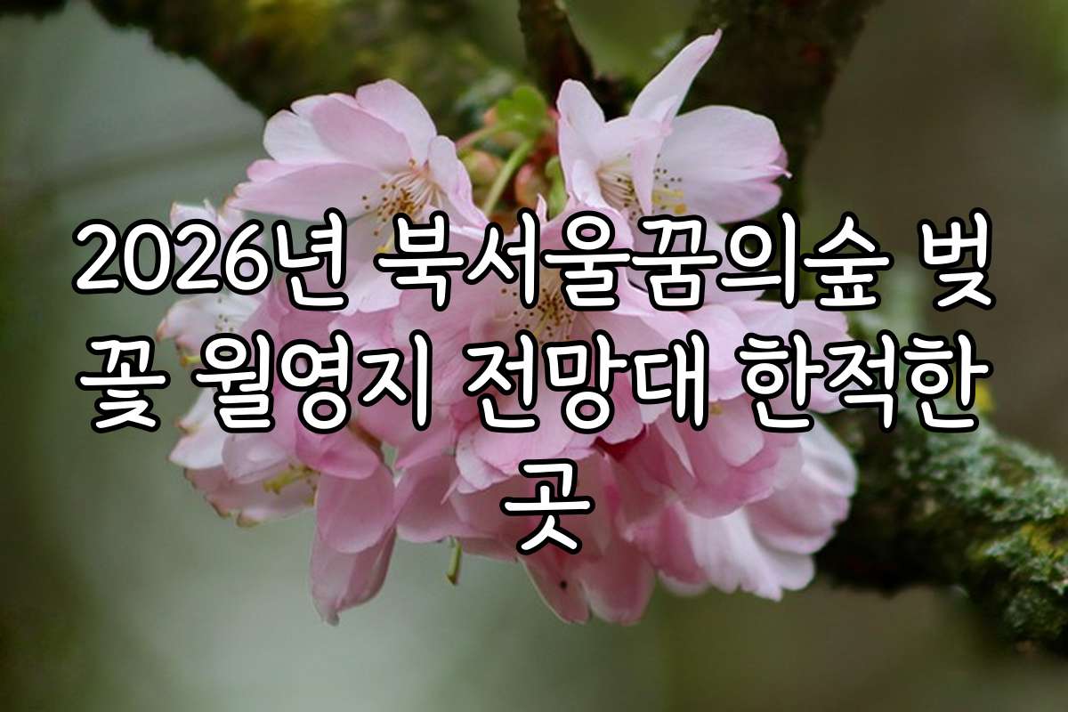 2026년 북서울꿈의숲 벚꽃 월영지 전망대 한적한 곳