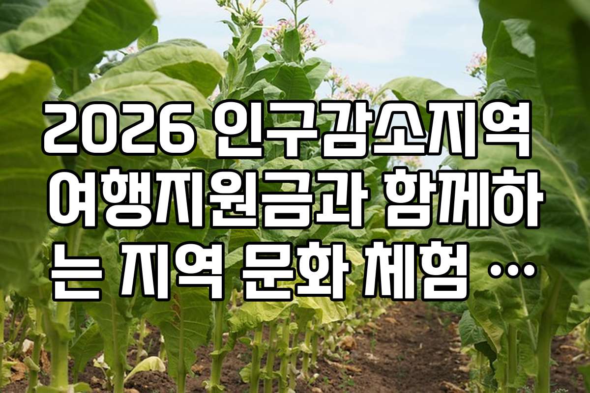 2026 인구감소지역 여행지원금과 함께하는 지역 문화 체험 추천 일정