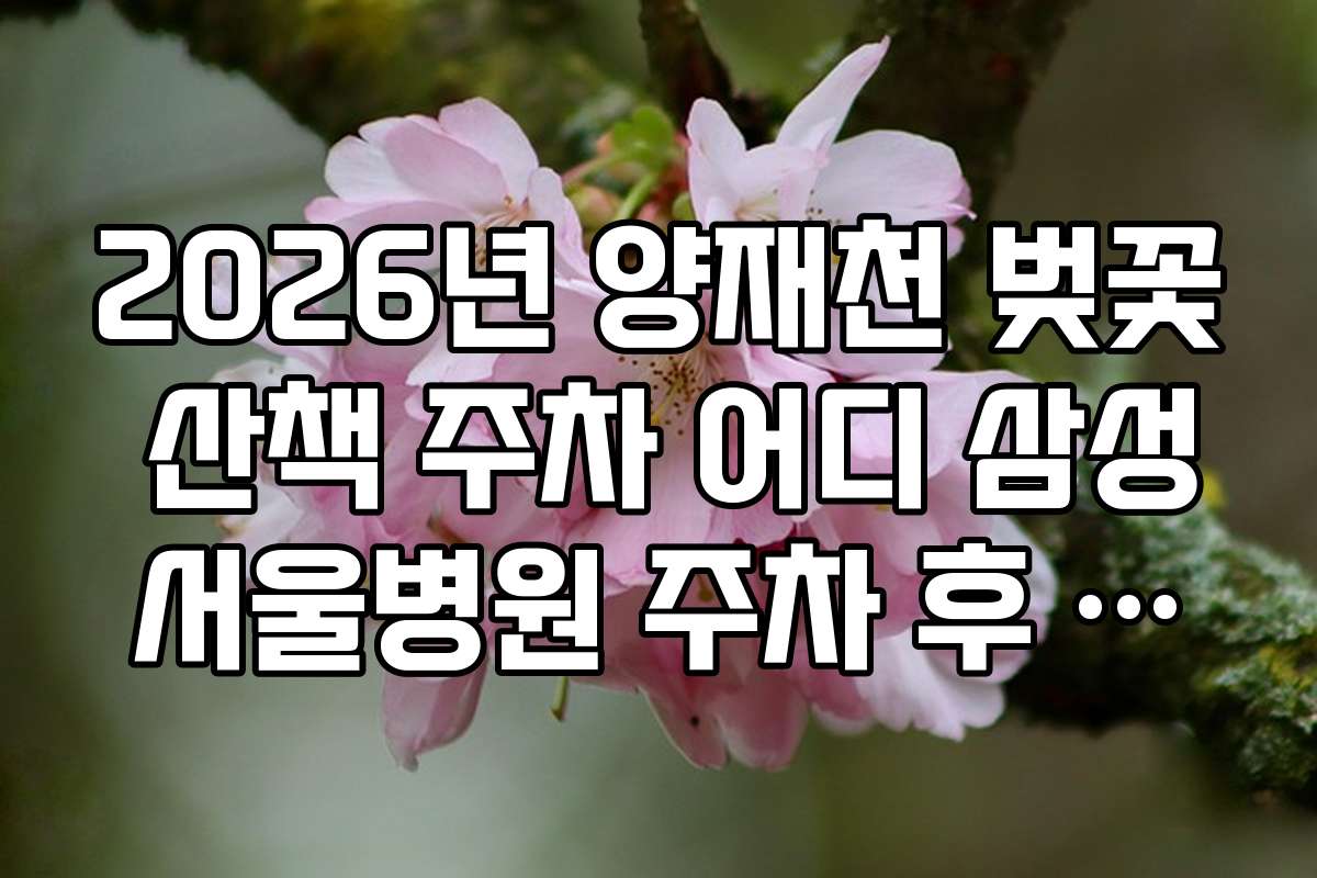 2026년 양재천 벚꽃 산책 주차 어디 삼성서울병원 주차 후 셔틀 이동
