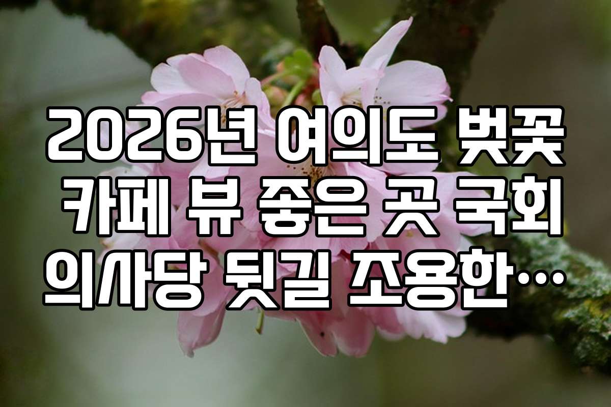 2026년 여의도 벚꽃 카페 뷰 좋은 곳 국회의사당 뒷길 조용한 명소