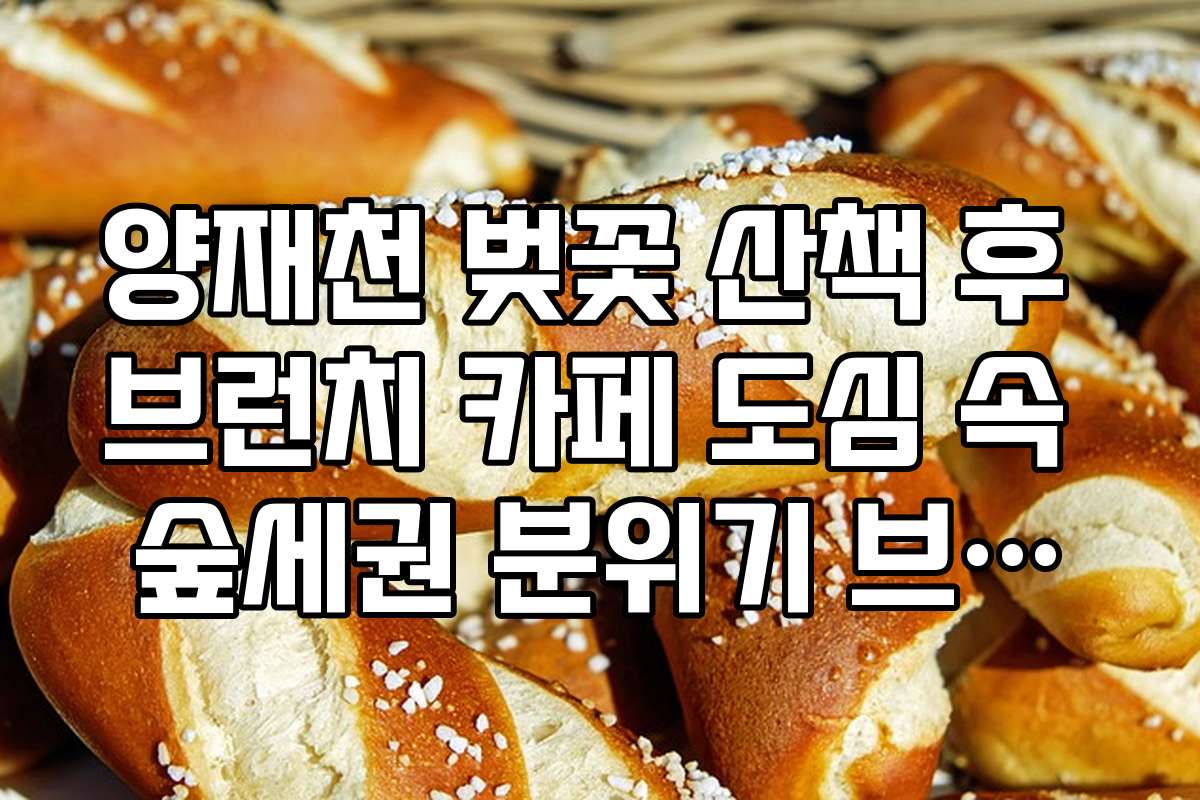 양재천 벚꽃 산책 후 브런치 카페 도심 속 숲세권 분위기 브런치 카페