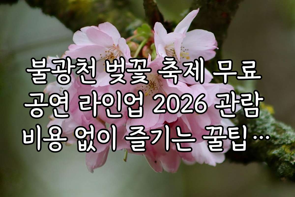불광천 벚꽃 축제 무료 공연 라인업 2026 관람 비용 없이 즐기는 꿀팁 모음