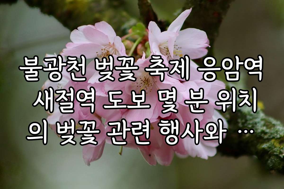 불광천 벚꽃 축제 응암역 새절역 도보 몇 분 위치의 벚꽃 관련 행사와 부대 행사 일정