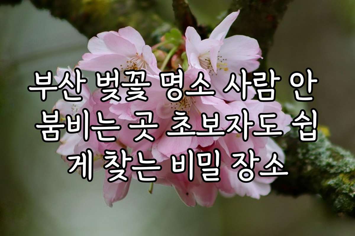 부산 벚꽃 명소 사람 안 붐비는 곳 초보자도 쉽게 찾는 비밀 장소