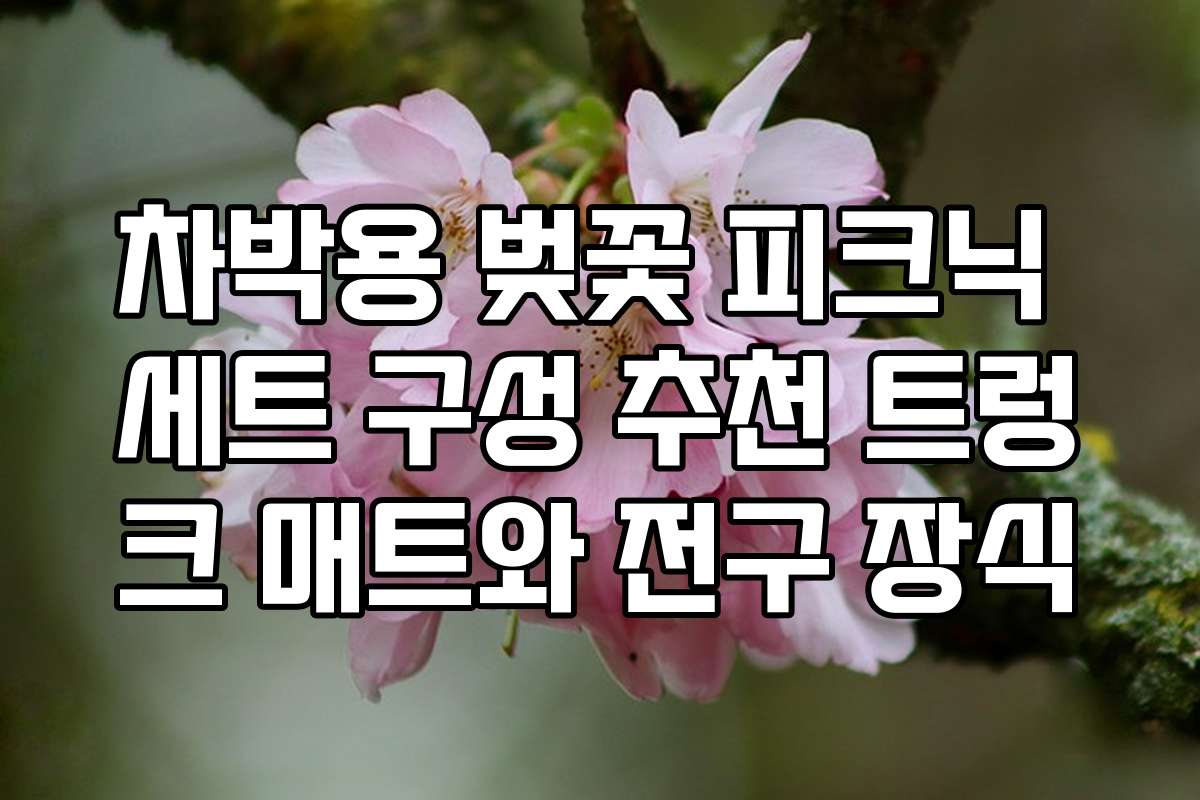 차박용 벚꽃 피크닉 세트 구성 추천 트렁크 매트와 전구 장식