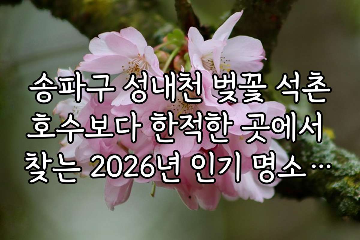 송파구 성내천 벚꽃 석촌호수보다 한적한 곳에서 찾는 2026년 인기 명소 소개