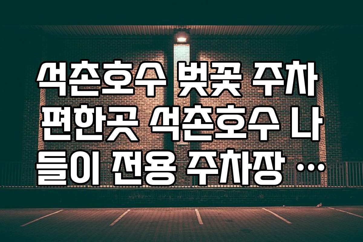 석촌호수 벚꽃 주차 편한곳 석촌호수 나들이 전용 주차장 추천 5곳