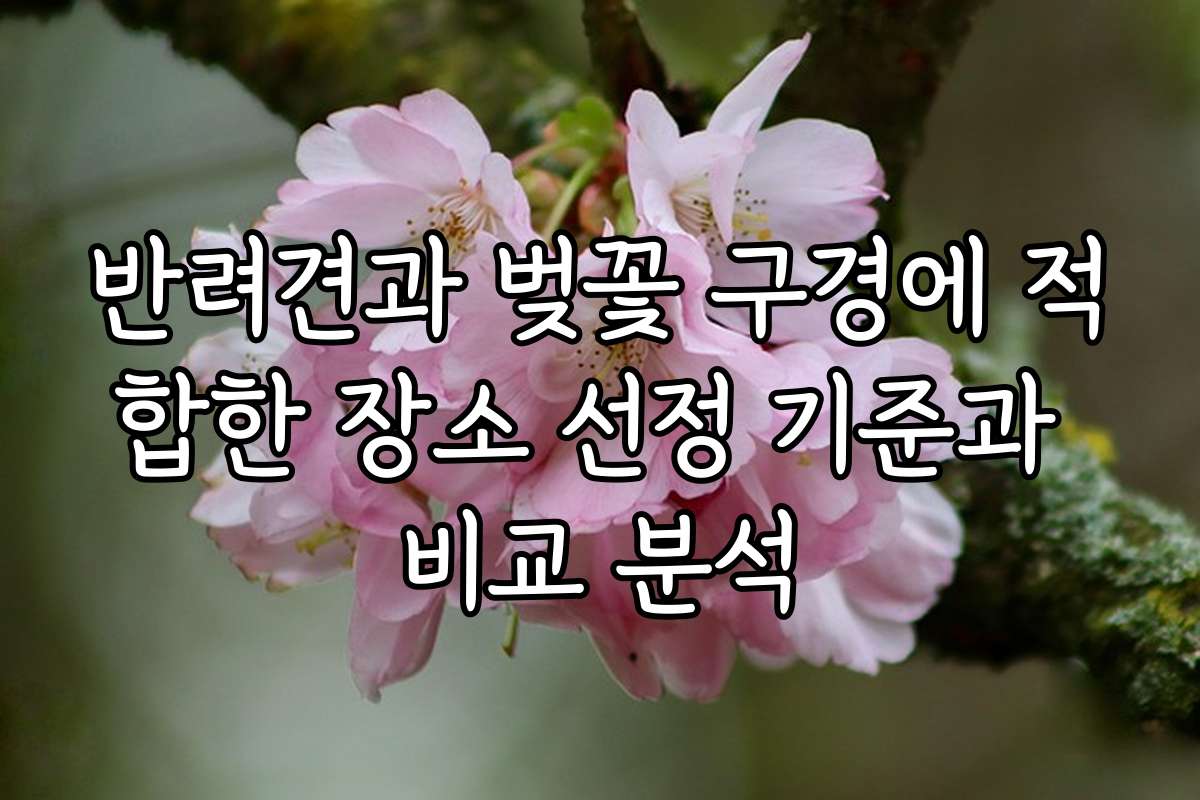 반려견과 벚꽃 구경에 적합한 장소 선정 기준과 비교 분석