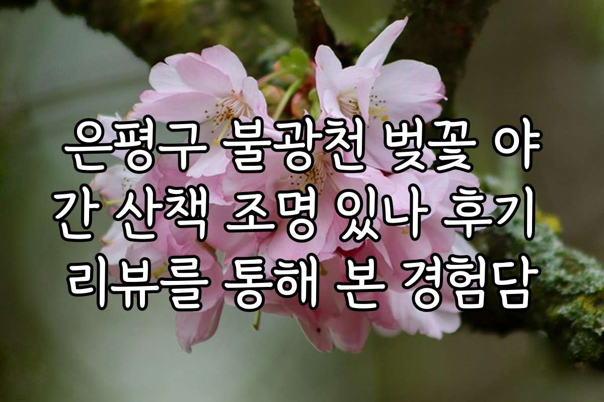 은평구 불광천 벚꽃 야간 산책 조명 있나 후기 리뷰를 통해 본 경험담