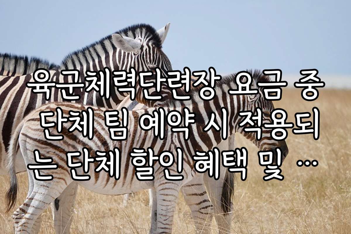 육군체력단련장 요금 중 단체 팀 예약 시 적용되는 단체 할인 혜택 및 요건