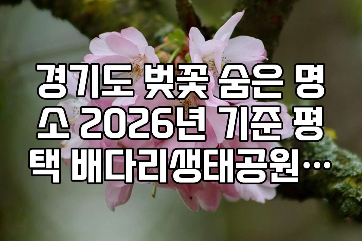 경기도 벚꽃 숨은 명소 2026년 기준 평택 배다리생태공원 벚꽃