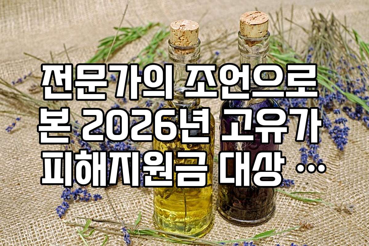 전문가의 조언으로 본 2026년 고유가 피해지원금 대상 확인 방법