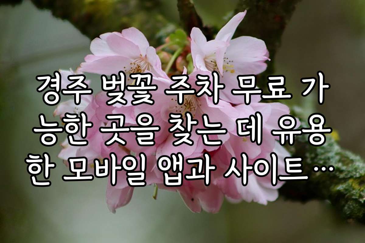 경주 벚꽃 주차 무료 가능한 곳을 찾는 데 유용한 모바일 앱과 사이트 소개