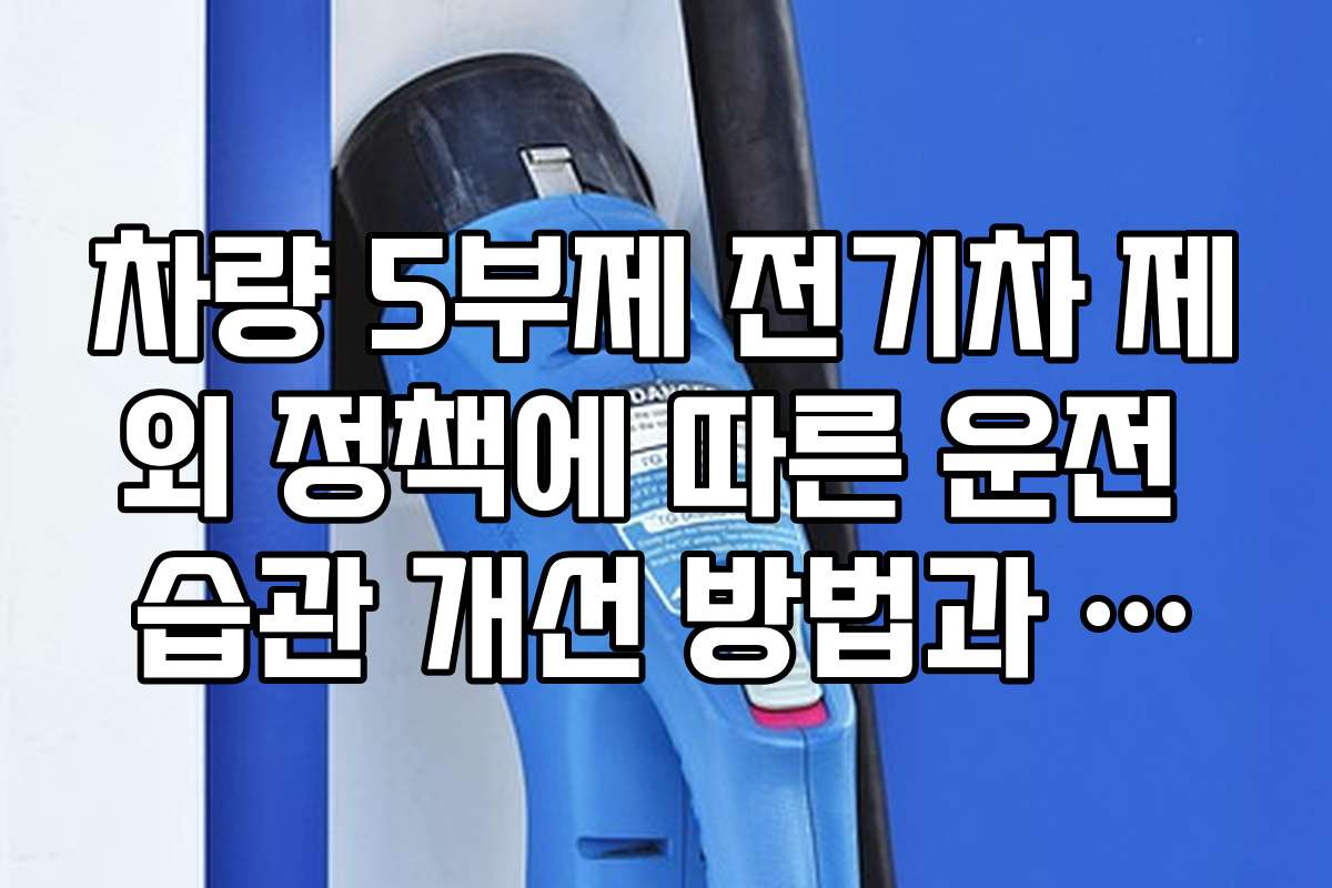 차량 5부제 전기차 제외 정책에 따른 운전 습관 개선 방법과 실천 팁을 소개합니다