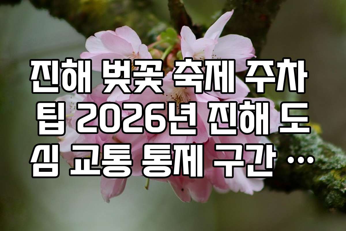 진해 벚꽃 축제 주차 팁 2026년 진해 도심 교통 통제 구간 실시간 확인