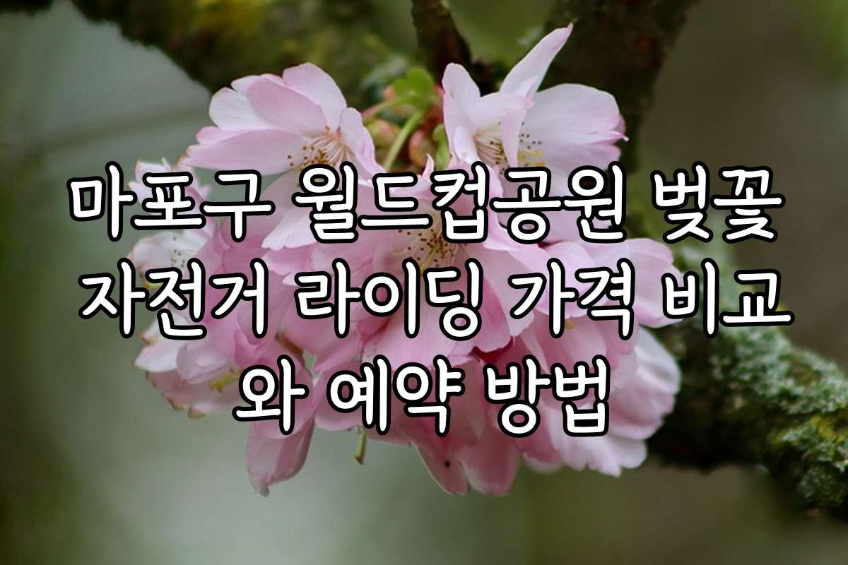 마포구 월드컵공원 벚꽃 자전거 라이딩 가격 비교와 예약 방법