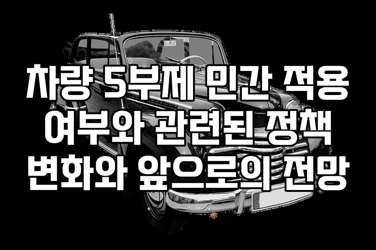 차량 5부제 민간 적용 여부와 관련된 정책 변화와 앞으로의 전망