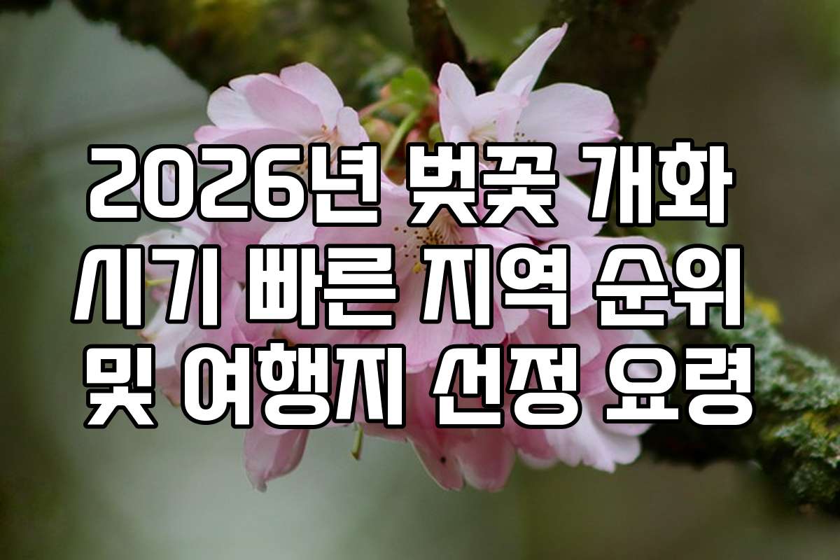 2026년 벚꽃 개화 시기 빠른 지역 순위 및 여행지 선정 요령