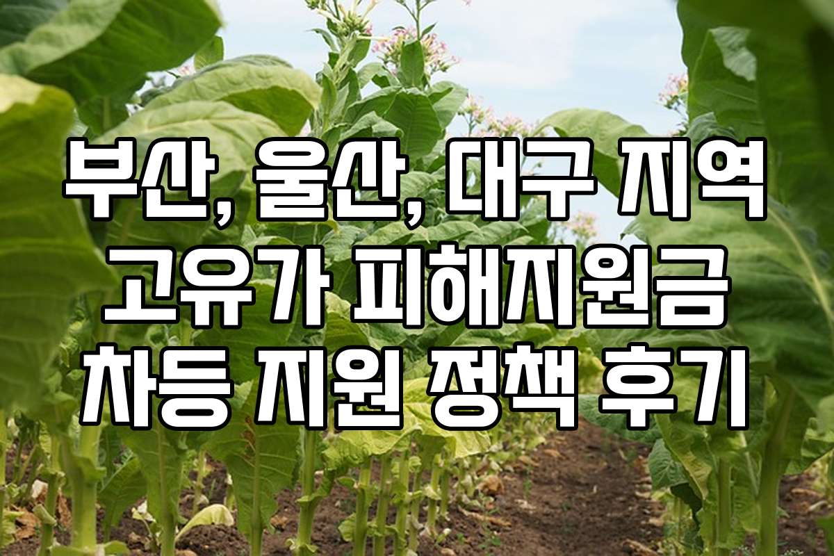 부산, 울산, 대구 지역 고유가 피해지원금 차등 지원 정책 후기