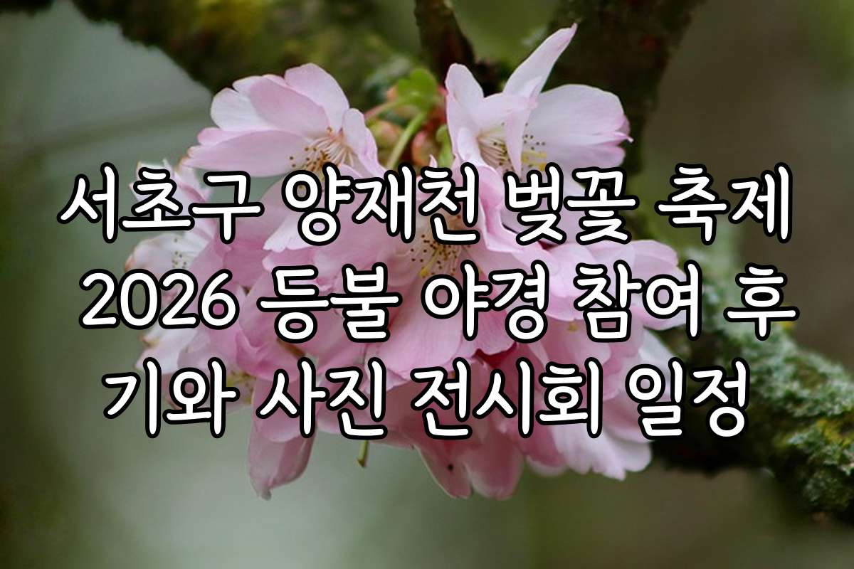 서초구 양재천 벚꽃 축제 2026 등불 야경 참여 후기와 사진 전시회 일정