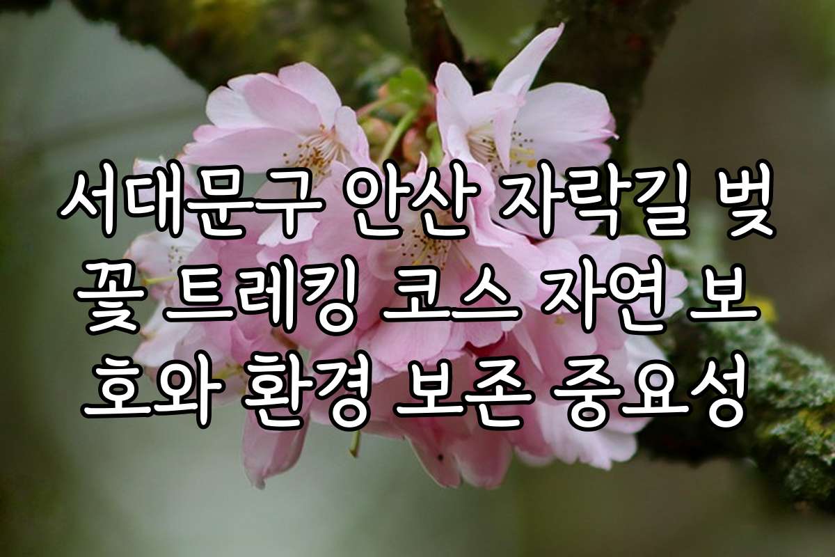 서대문구 안산 자락길 벚꽃 트레킹 코스 자연 보호와 환경 보존 중요성