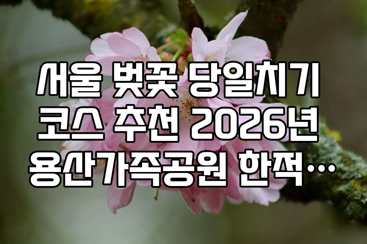 서울 벚꽃 당일치기 코스 추천 2026년 용산가족공원 한적한 돗자리 명당