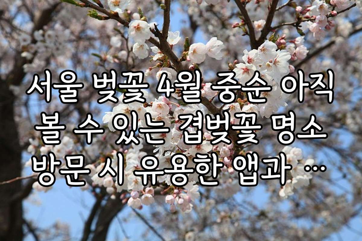 서울 벚꽃 4월 중순 아직 볼 수 있는 겹벚꽃 명소 방문 시 유용한 앱과 도구 추천 리스트