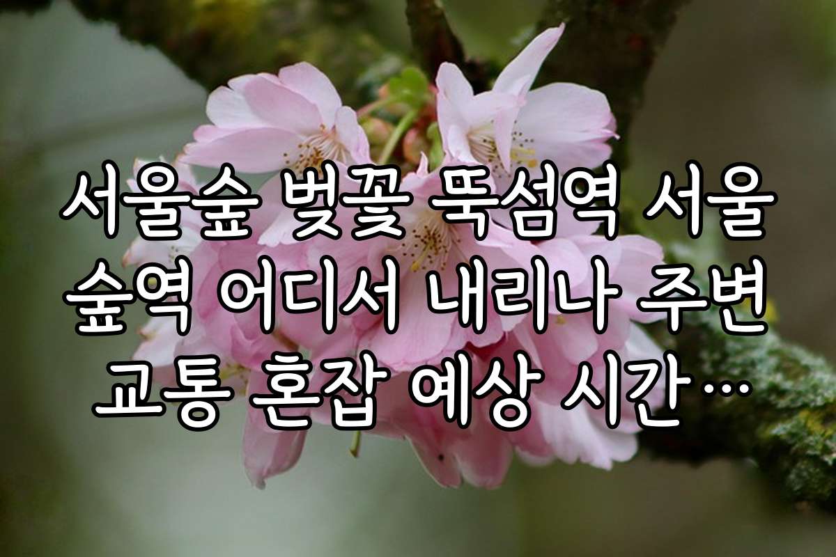 서울숲 벚꽃 뚝섬역 서울숲역 어디서 내리나 주변 교통 혼잡 예상 시간대별 피하는 법