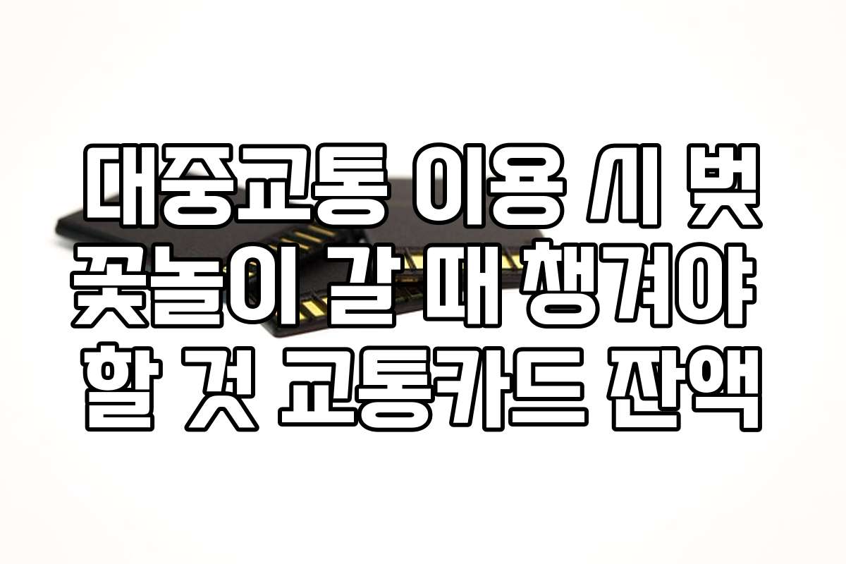 대중교통 이용 시 벚꽃놀이 갈 때 챙겨야 할 것 교통카드 잔액