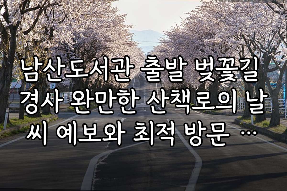 남산도서관 출발 벚꽃길 경사 완만한 산책로의 날씨 예보와 최적 방문 시기, 기상 조건 분석