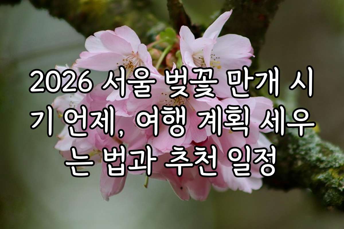 2026 서울 벚꽃 만개 시기 언제, 여행 계획 세우는 법과 추천 일정