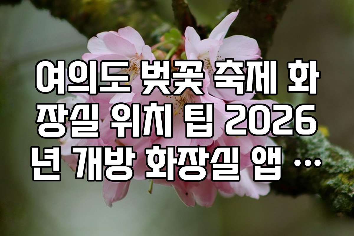 여의도 벚꽃 축제 화장실 위치 팁 2026년 개방 화장실 앱 활용 방법