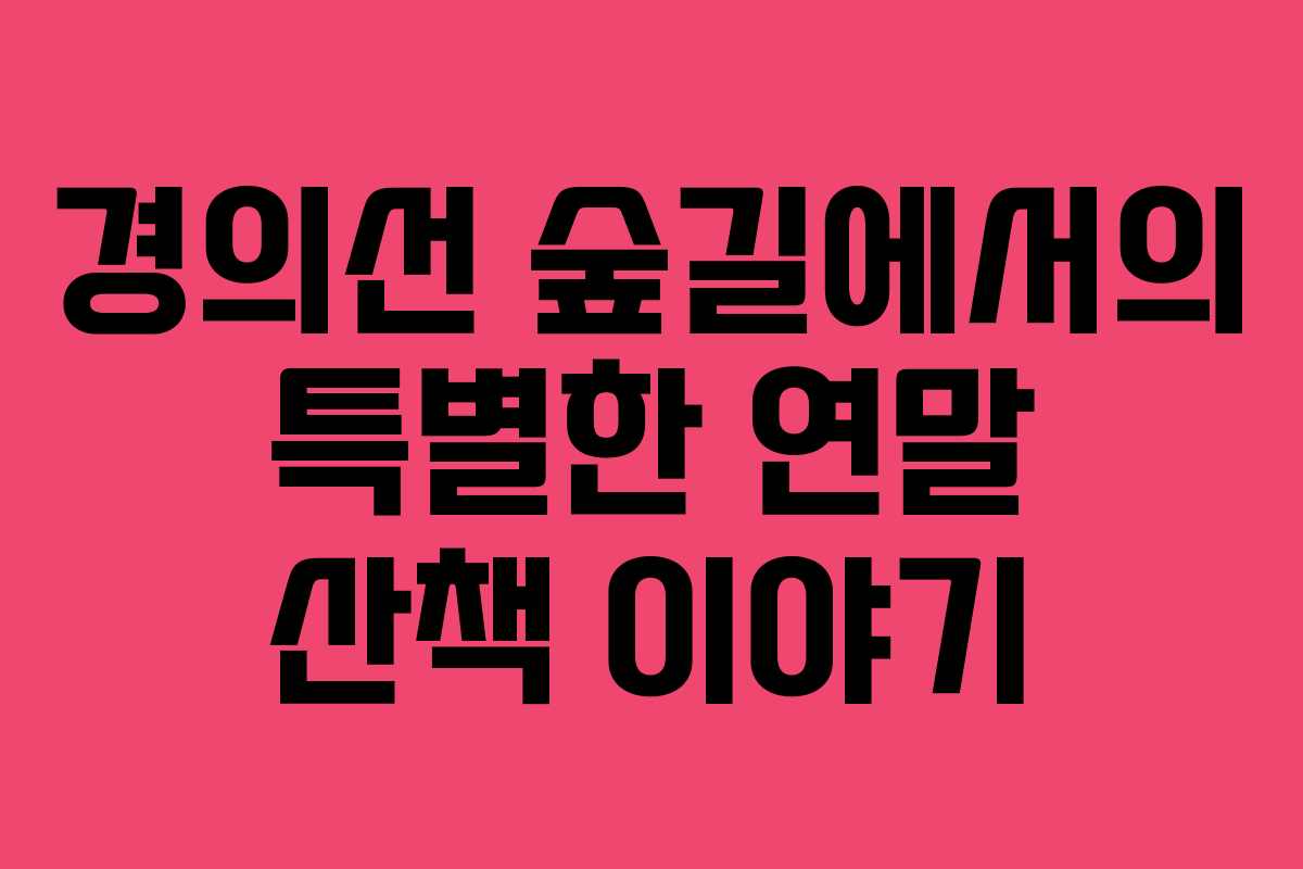 경의선 숲길에서의 특별한 연말 산책 이야기