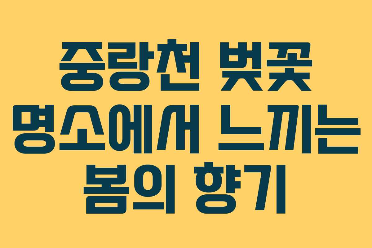 중랑천 벚꽃 명소에서 느끼는 봄의 향기