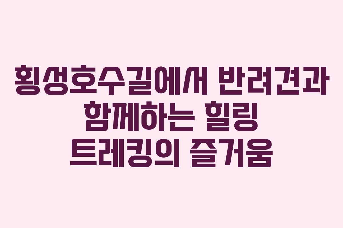 횡성호수길에서 반려견과 함께하는 힐링 트레킹의 즐거움