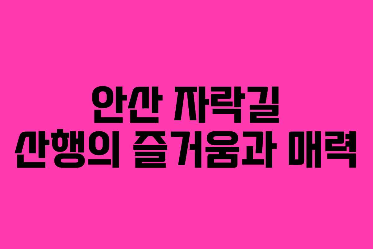 안산 자락길 산행의 즐거움과 매력