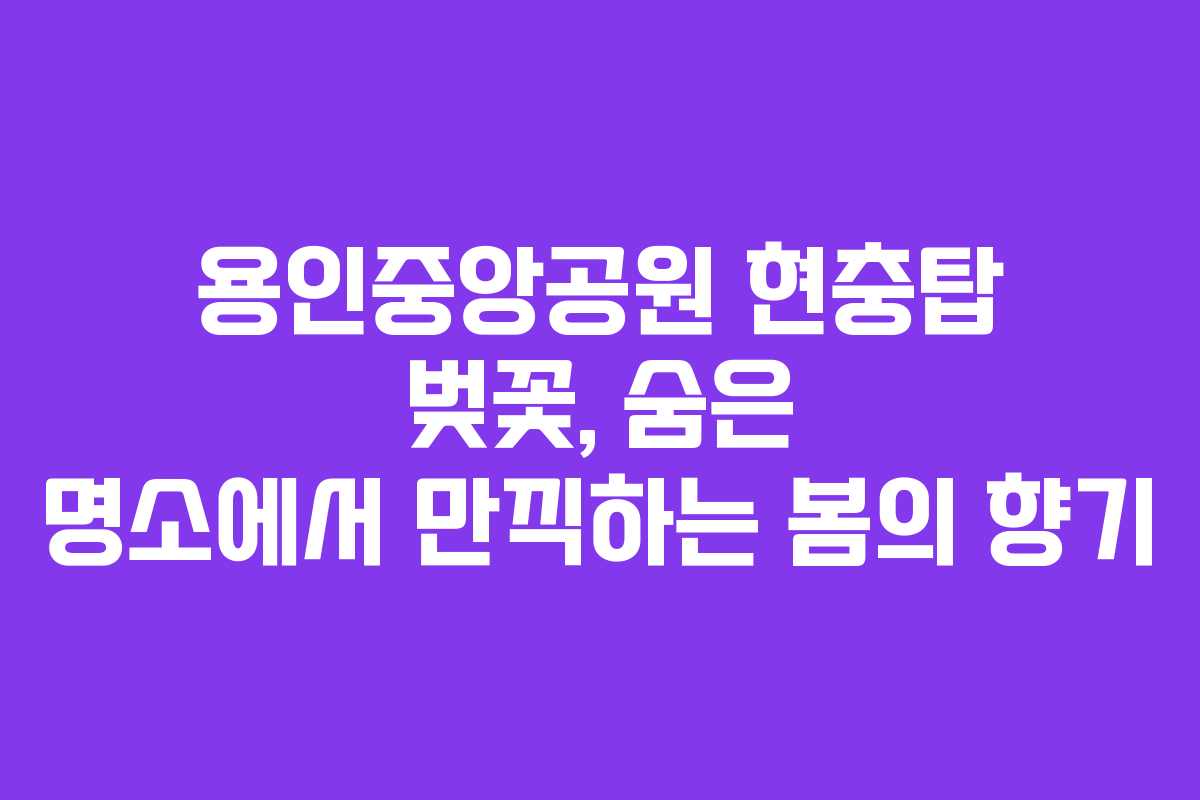 용인중앙공원 현충탑 벚꽃, 숨은 명소에서 만끽하는 봄의 향기