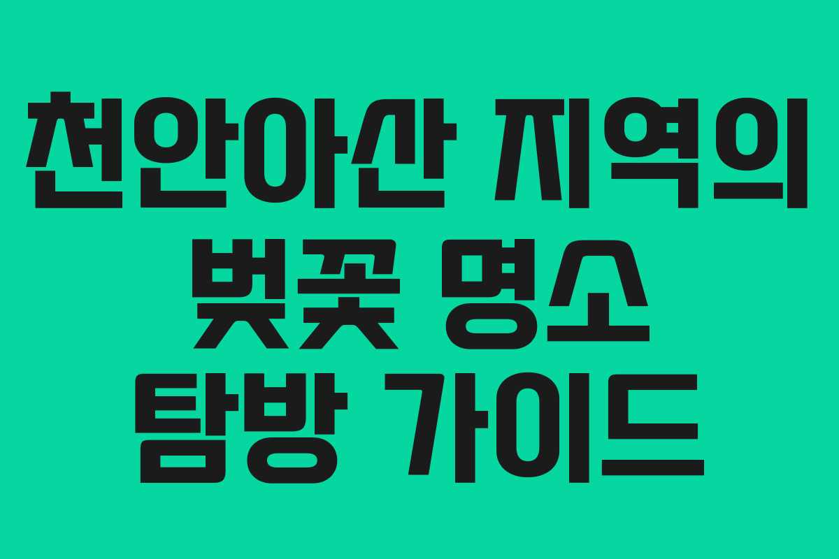 천안아산 지역의 벚꽃 명소 탐방 가이드