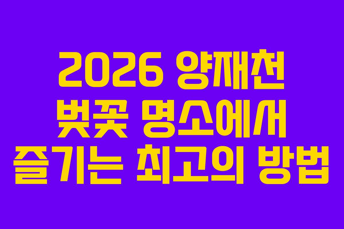 2026 양재천 벚꽃 명소에서 즐기는 최고의 방법