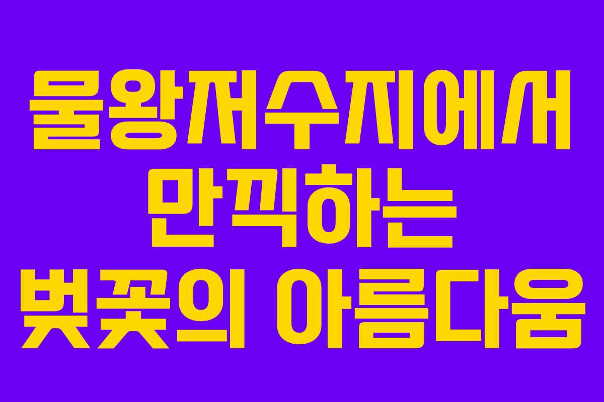 물왕저수지에서 만끽하는 벚꽃의 아름다움