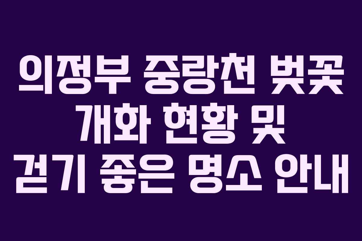 의정부 중랑천 벚꽃 개화 현황 및 걷기 좋은 명소 안내