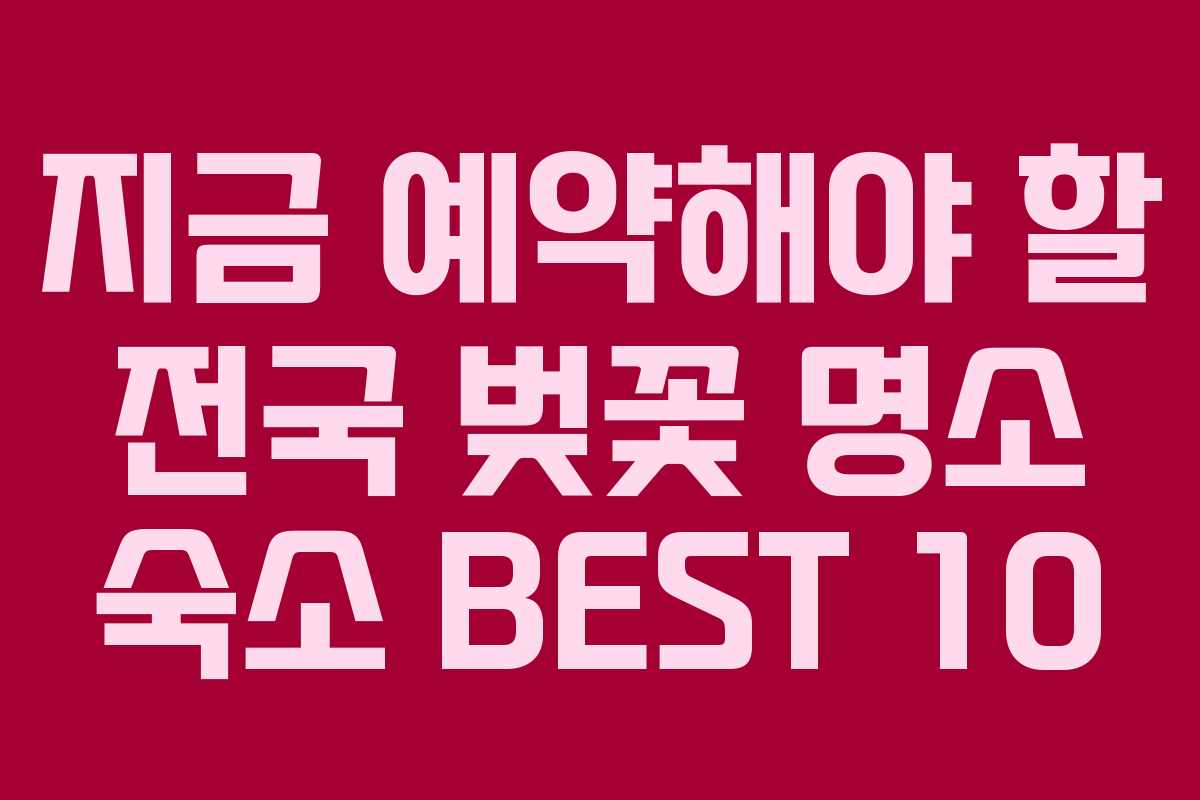 지금 예약해야 할 전국 벚꽃 명소 숙소 BEST 10