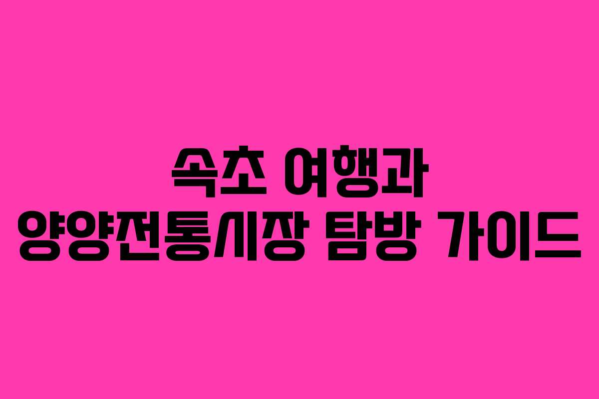 속초 여행과 양양전통시장 탐방 가이드