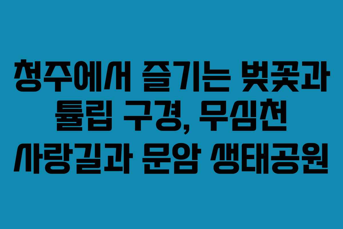 청주에서 즐기는 벚꽃과 튤립 구경, 무심천 사랑길과 문암 생태공원