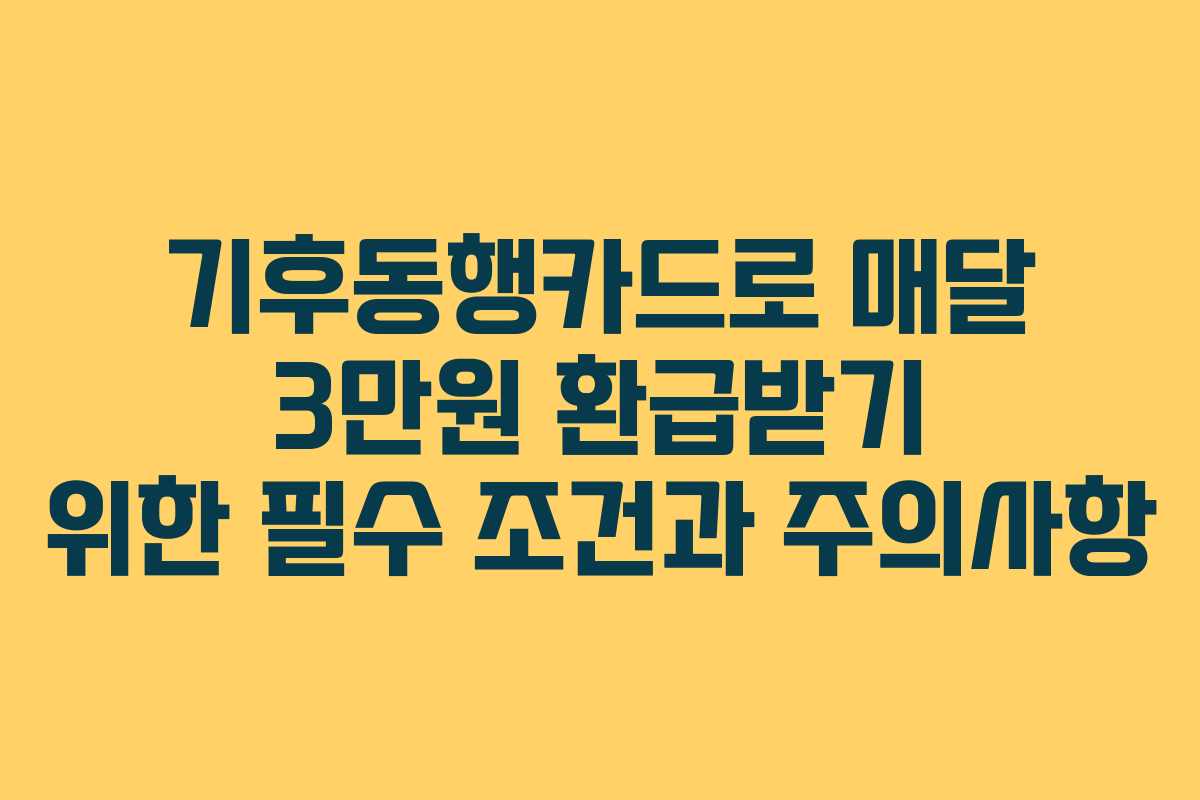 기후동행카드로 매달 3만원 환급받기 위한 필수 조건과 주의사항