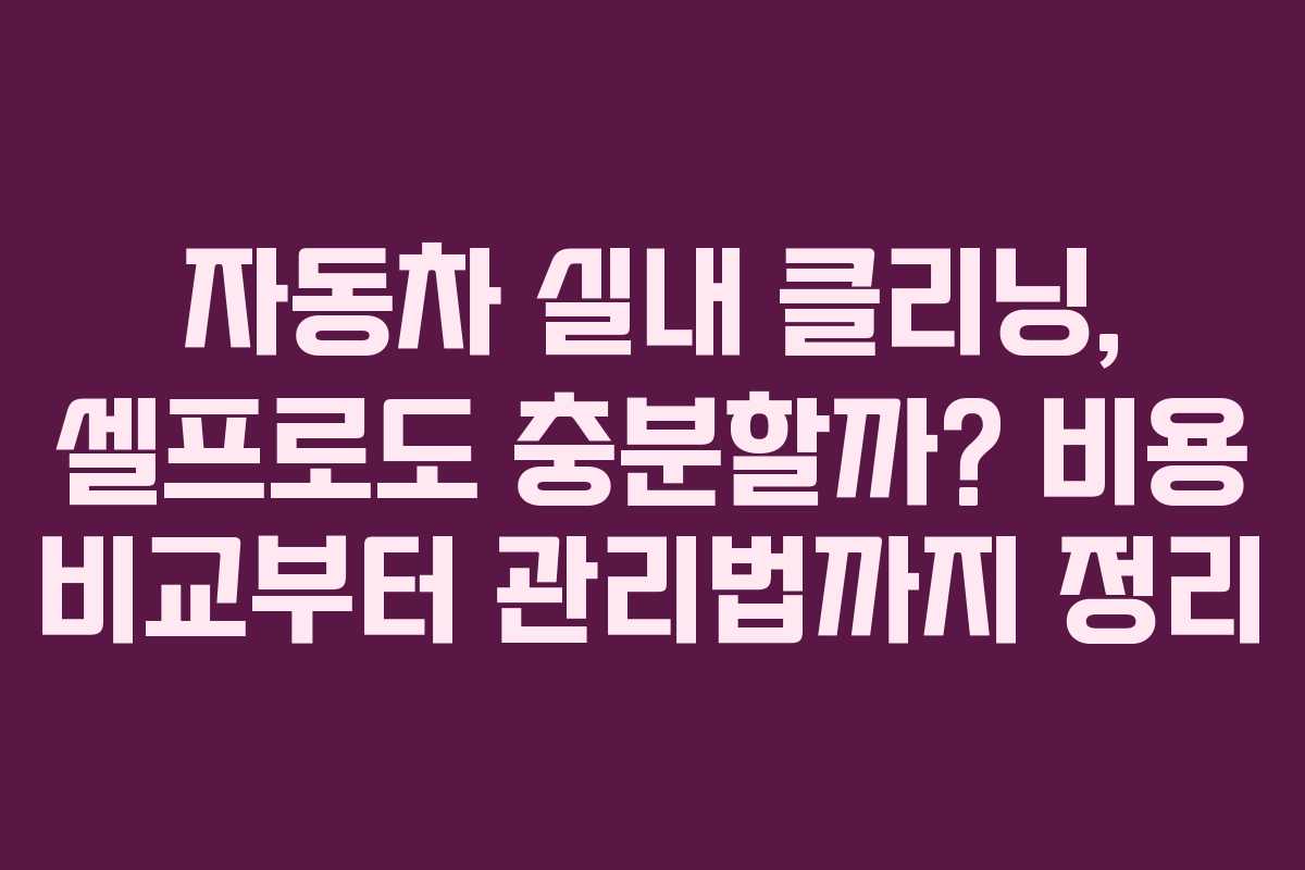 자동차 실내 클리닝, 셀프로도 충분할까? 비용 비교부터 관리법까지 정리