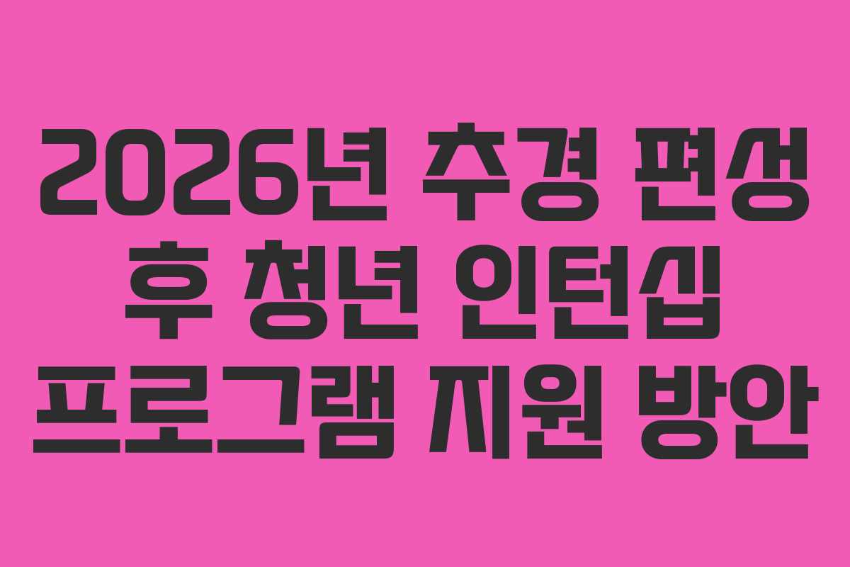 2026년 추경 편성 후 청년 인턴십 프로그램 지원 방안