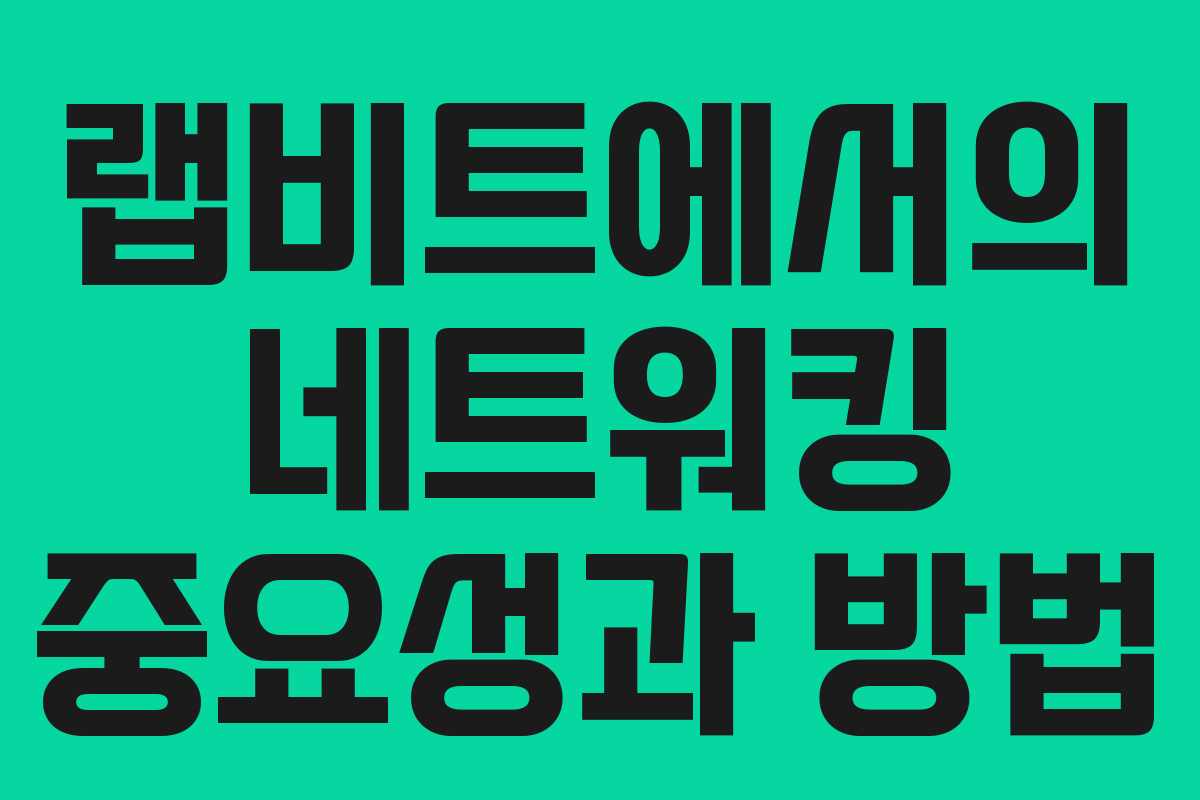 랩비트에서의 네트워킹 중요성과 방법