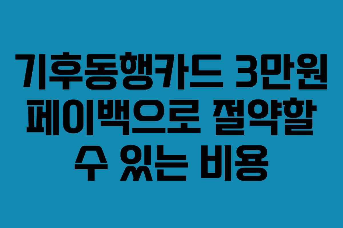 기후동행카드 3만원 페이백으로 절약할 수 있는 비용